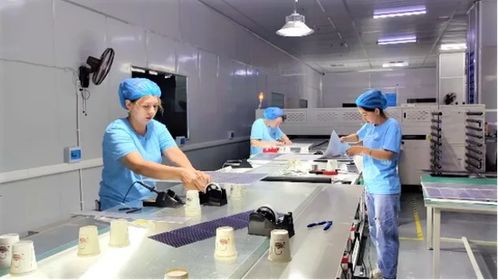 疏勒縣新能源產(chǎn)品閃耀喀交會(huì) 20余款創(chuàng)新成果引領(lǐng)新興能源技術(shù)研發(fā)潮流